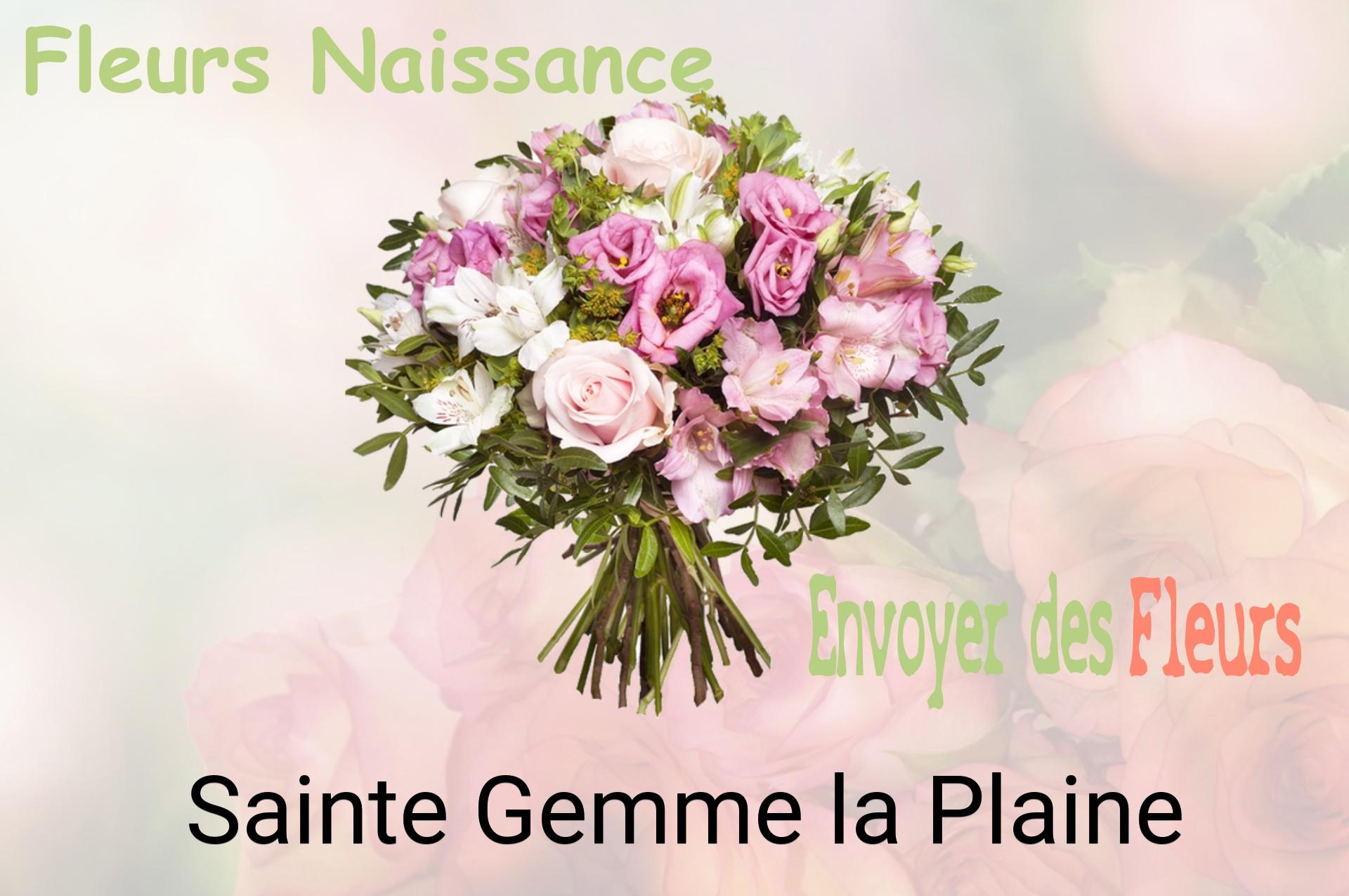 Bouquet de fleurs de naissance livré à Sainte-Gemme-la-Plaine